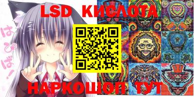 PSILOCYBIN Гай