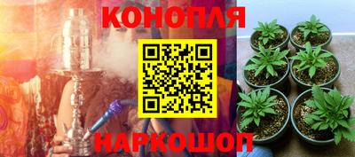 mix Гатчина
