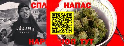 PSILOCYBIN Гай